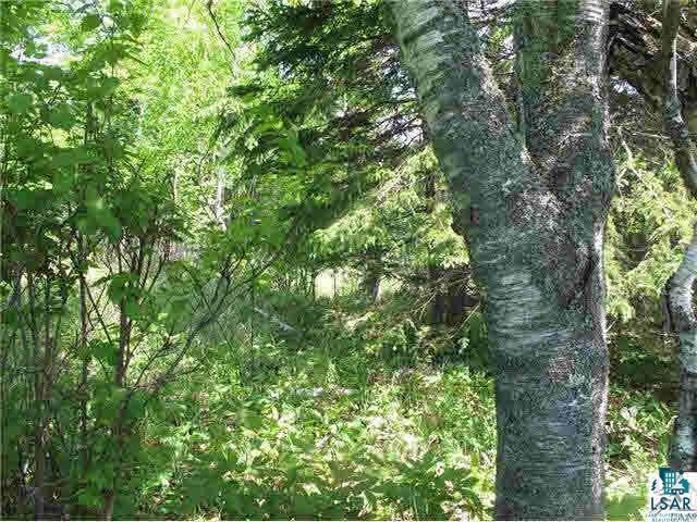 Lot 8 Chester Boulevard Tofte, MN 55615 - Photo 11 of 24