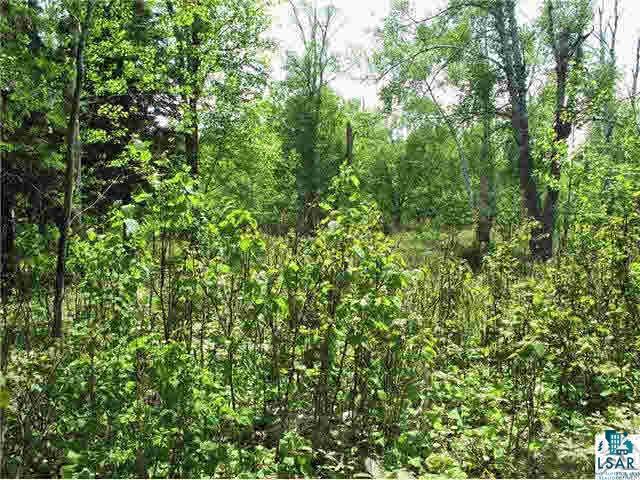 Lot 8 Chester Boulevard Tofte, MN 55615 - Photo 12 of 24