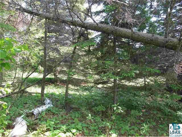 Lot 8 Chester Boulevard Tofte, MN 55615 - Photo 13 of 24