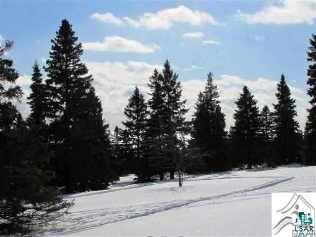Lot 8 Chester Boulevard Tofte, MN 55615 - Photo 17 of 24