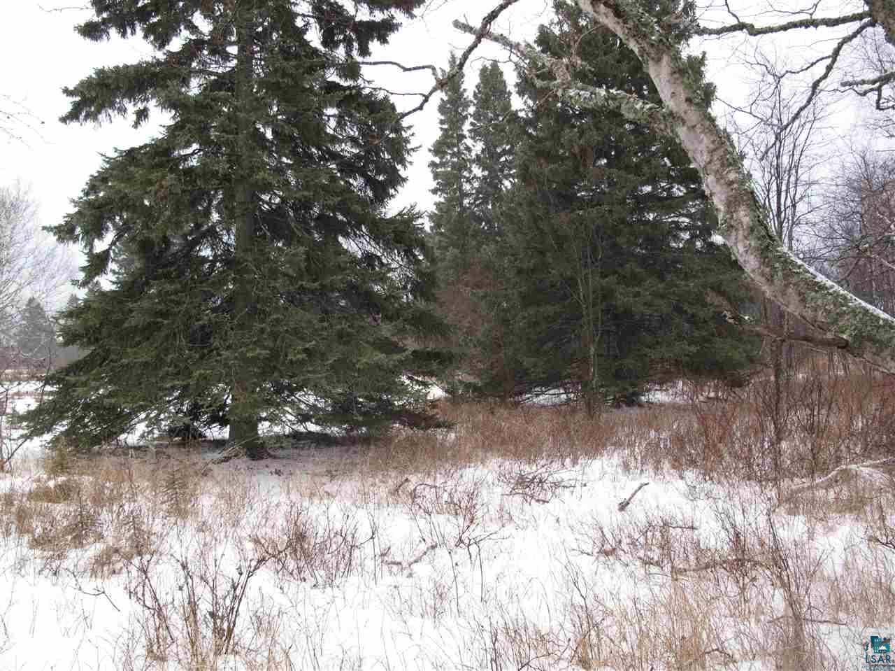 Lot 8 Chester Boulevard Tofte, MN 55615 - Photo 18 of 24