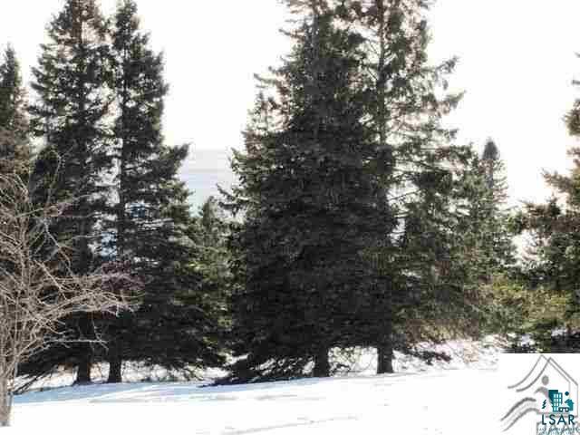 Lot 8 Chester Boulevard Tofte, MN 55615 - Photo 19 of 24