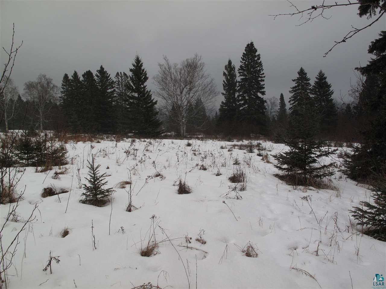 Lot 8 Chester Boulevard Tofte, MN 55615 - Photo 20 of 24