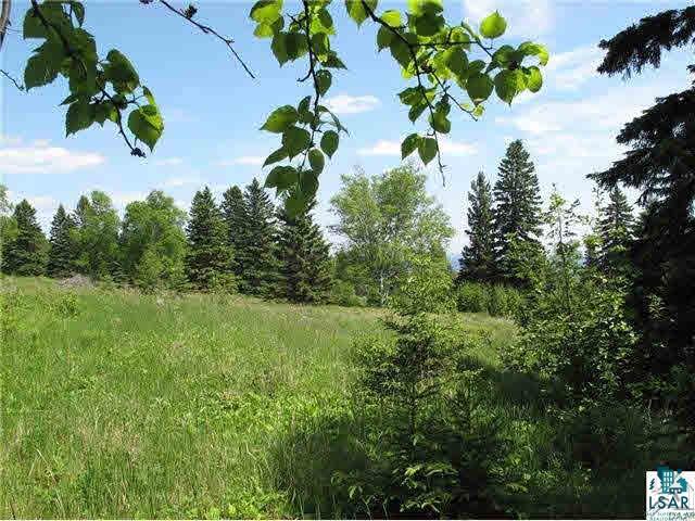 Lot 8 Chester Boulevard Tofte, MN 55615 - Photo 2 of 24