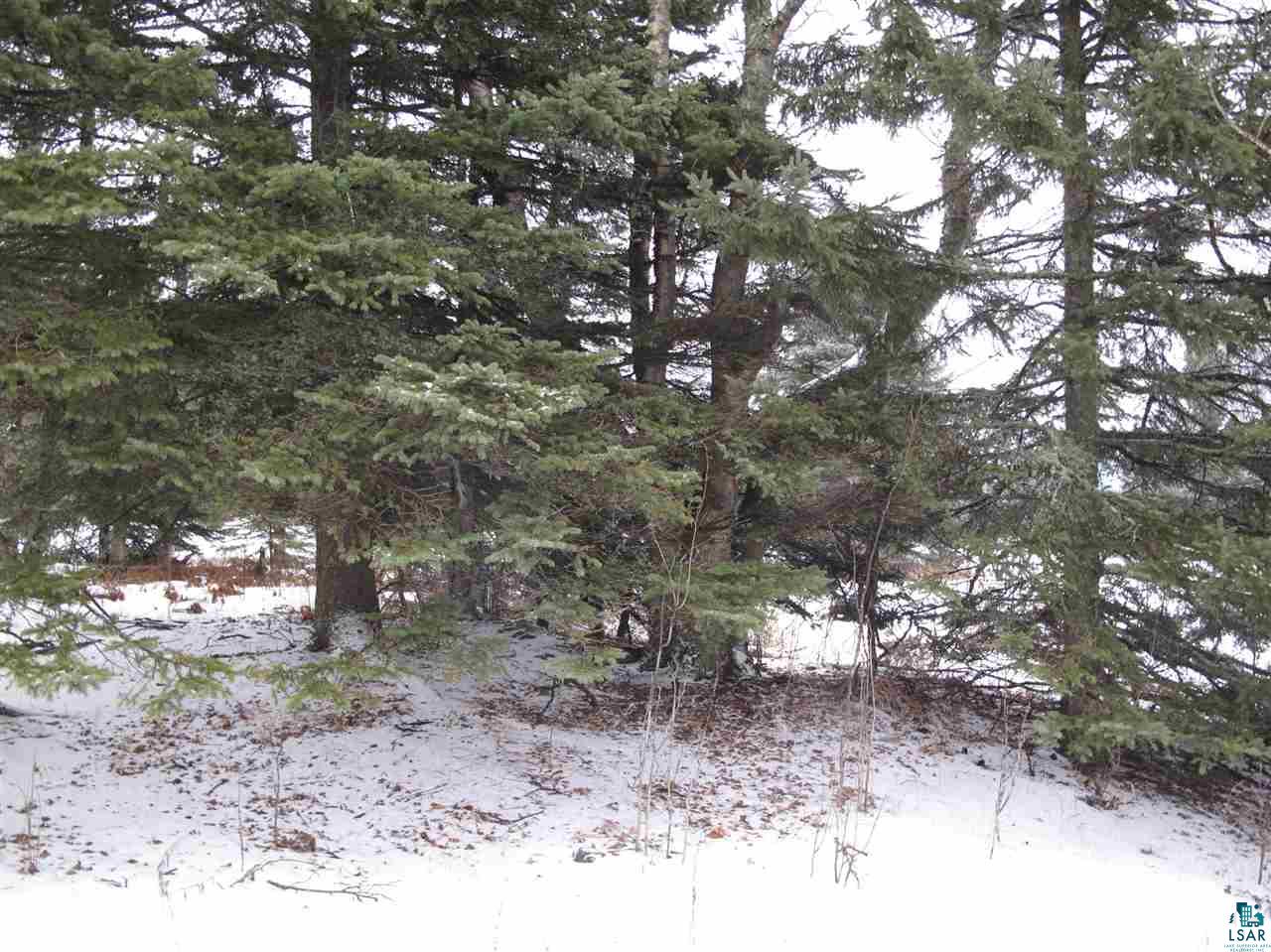 Lot 8 Chester Boulevard Tofte, MN 55615 - Photo 21 of 24
