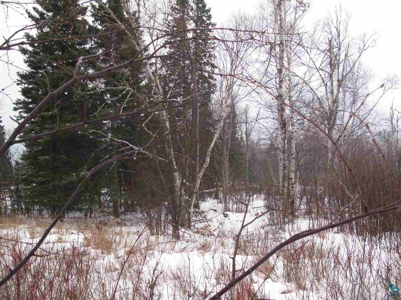 Lot 8 Chester Boulevard Tofte, MN 55615 - Photo 23 of 24