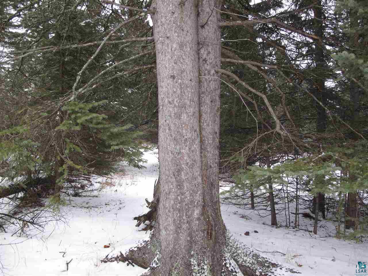 Lot 8 Chester Boulevard Tofte, MN 55615 - Photo 24 of 24