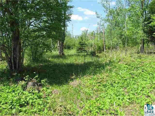 Lot 8 Chester Boulevard Tofte, MN 55615 - Photo 3 of 24