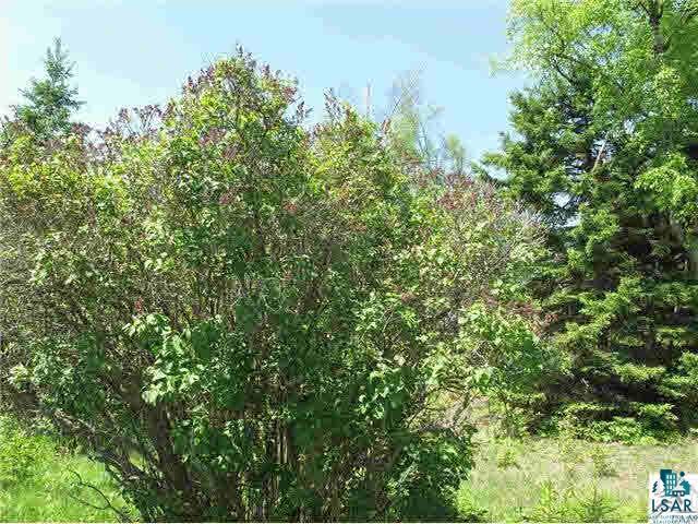 Lot 8 Chester Boulevard Tofte, MN 55615 - Photo 6 of 24