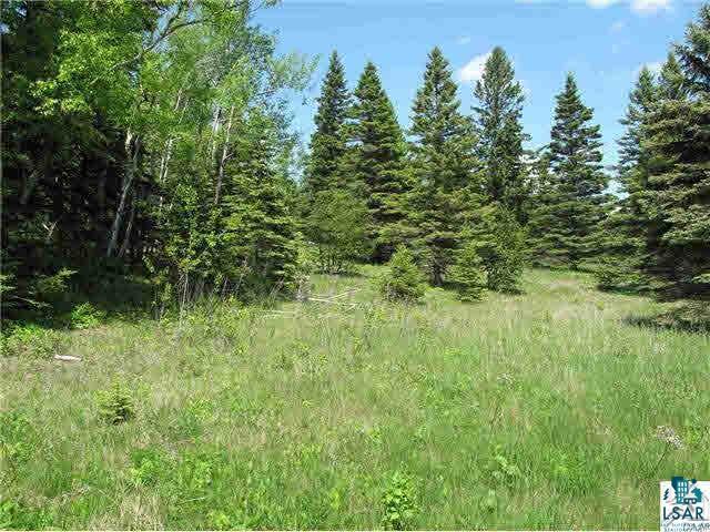 Lot 8 Chester Boulevard Tofte, MN 55615 - Photo 7 of 24