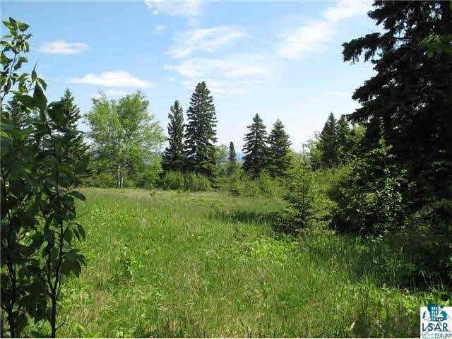 Lot 8 Chester Boulevard Tofte, MN 55615 - Photo 8 of 24