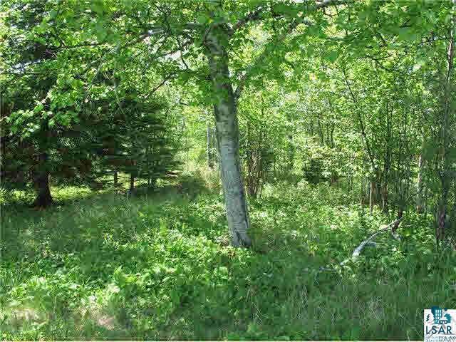 Lot 8 Chester Boulevard Tofte, MN 55615 - Photo 9 of 24