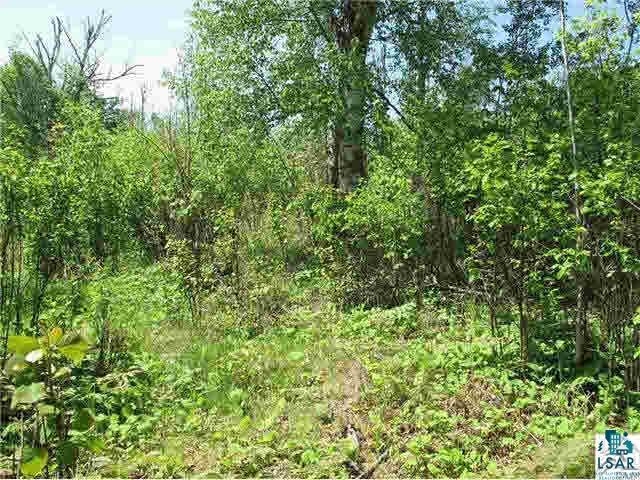 Lot 8 Chester Boulevard Tofte, MN 55615 - Photo 10 of 24