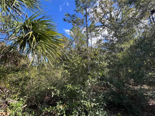 $25,000 | 5650 West Kettle Lane, Crystal River, FL 34429