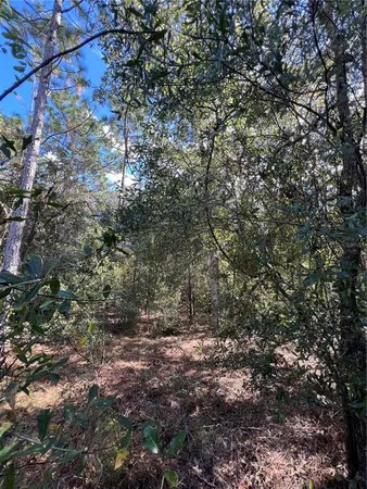 $25,000 | 5650 West Kettle Lane, Crystal River, FL 34429