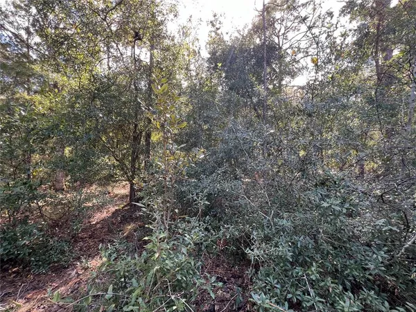 $25,000 | 5650 West Kettle Lane, Crystal River, FL 34429