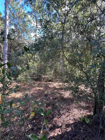 $25,000 | 5650 West Kettle Lane, Crystal River, FL 34429