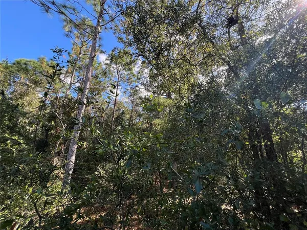 $25,000 | 5650 West Kettle Lane, Crystal River, FL 34429