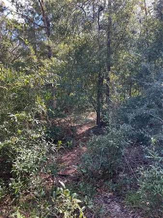 $25,000 | 5650 West Kettle Lane, Crystal River, FL 34429