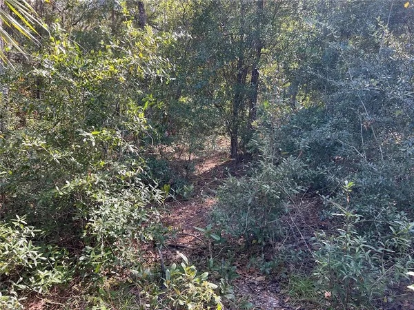 $25,000 | 5650 West Kettle Lane, Crystal River, FL 34429