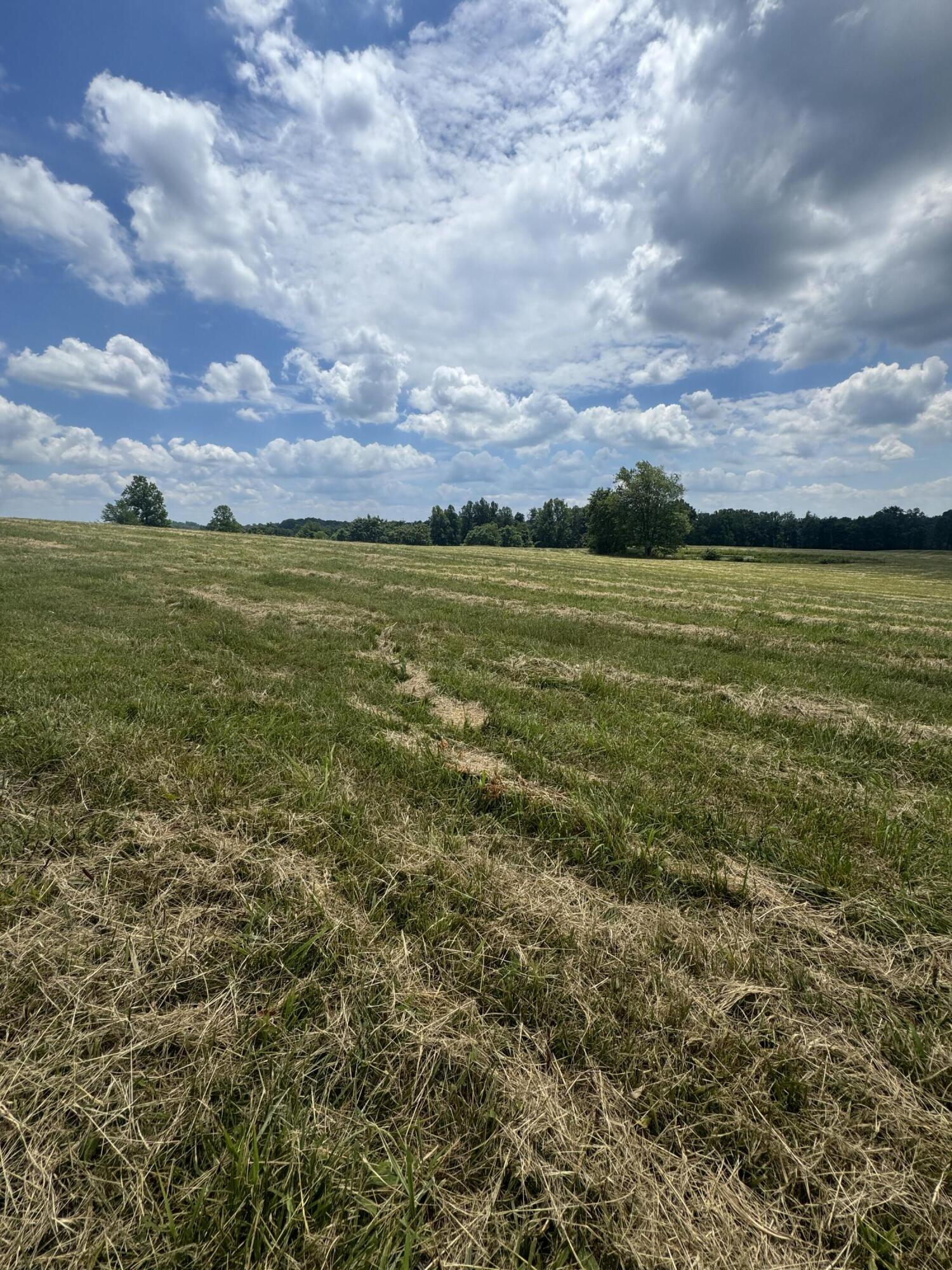 2 Upper Dry Fork Road, Unit 2 McKee, KY 40447 - Photo 2 of 3 IMG_5021