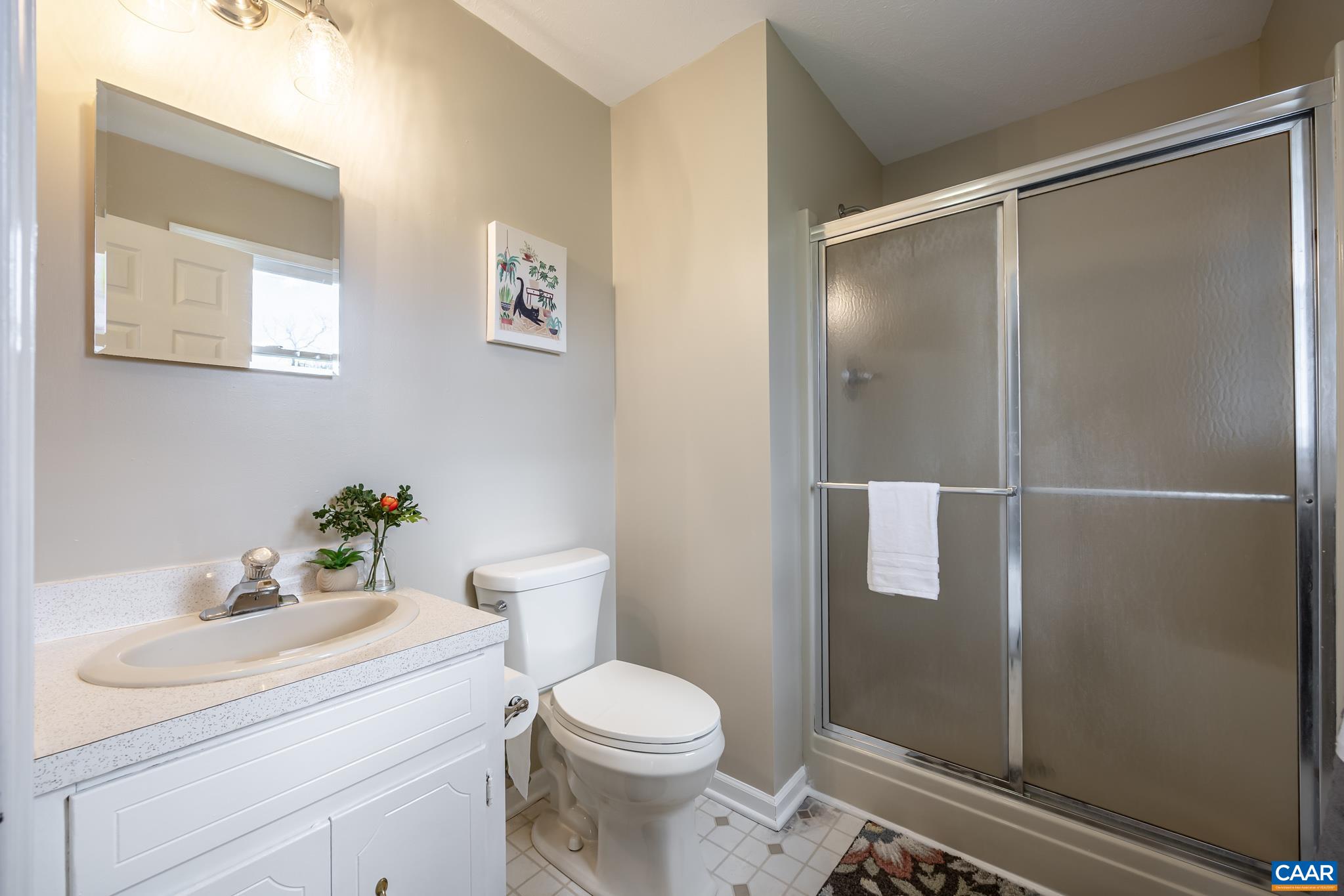100 East Daffodil Road Ruckersville, VA 22968 - Photo 25 of 41 a bathroom with a sink a toilet and shower