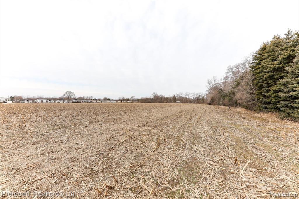 0 Bog Road Belleville, MI 48111 - Photo 8 of 23