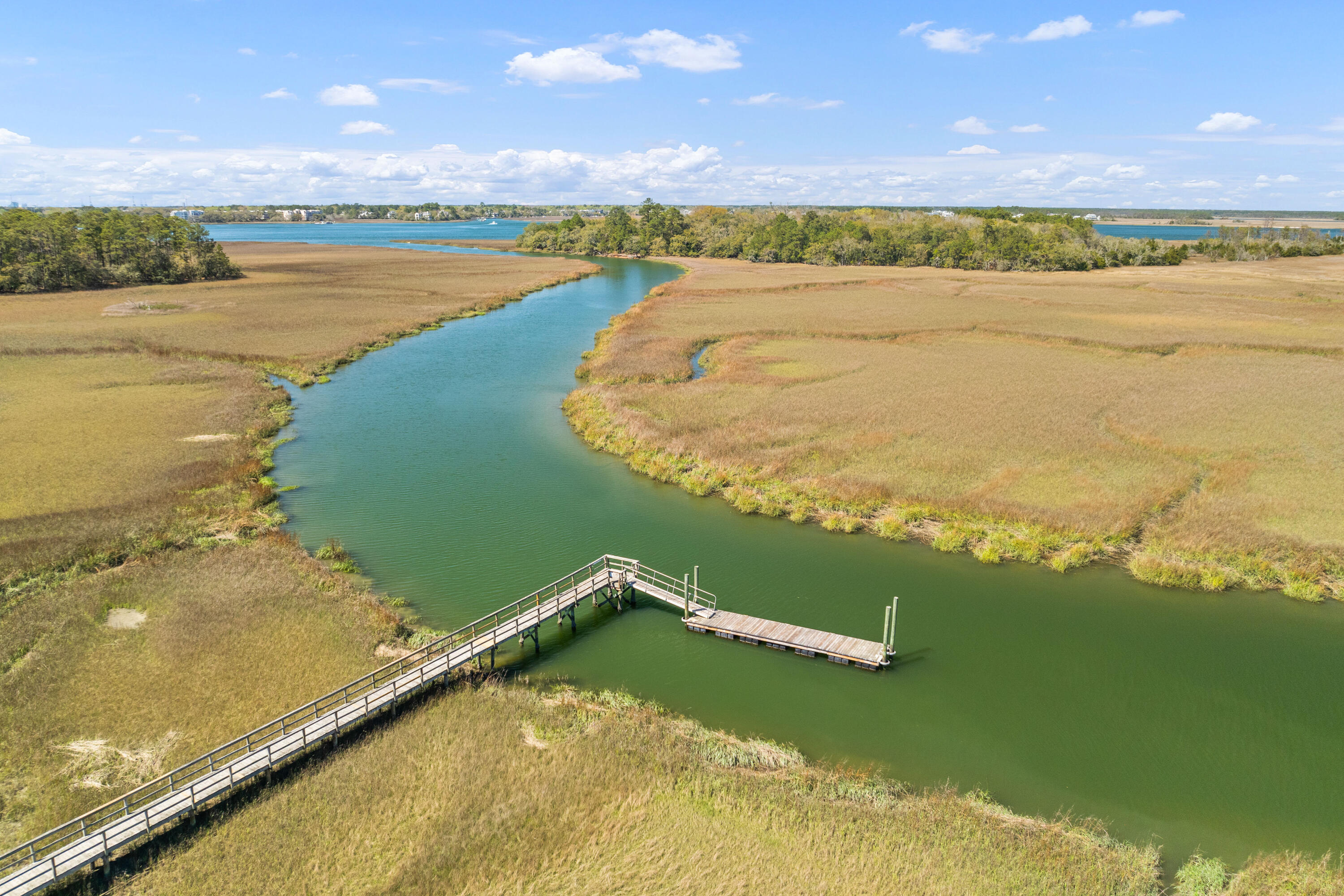 128 Summers Creek Court, Unit 1094 Mount Pleasant, SC 29464 - Photo 27 of 27 DJI_0899