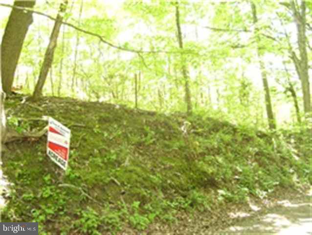 Lot 8 Orchard Road Newport, PA 17074 - Photo 1 of 10 Gallery Image 1