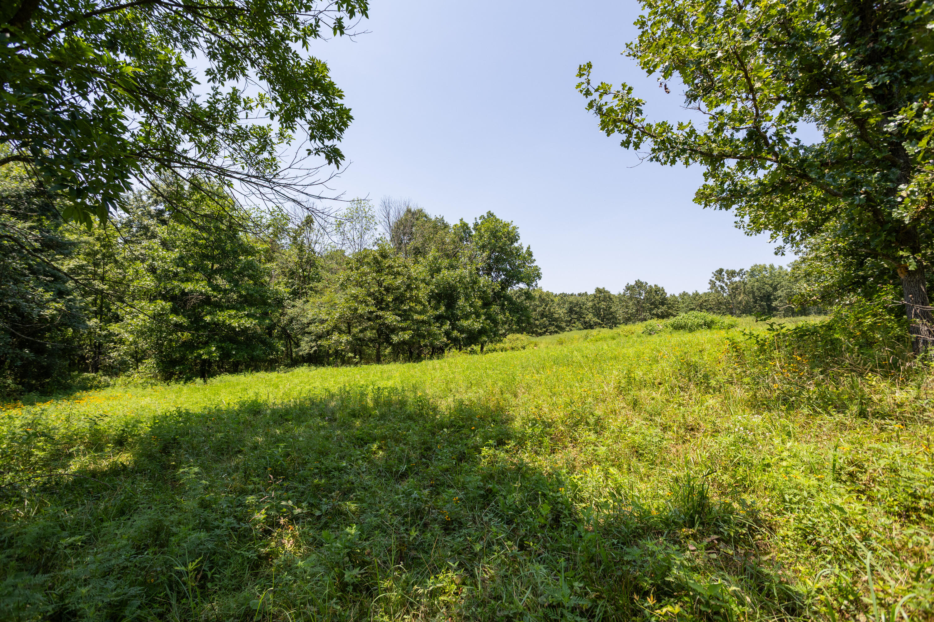 1059 Northeast 100th Road Lamar, MO 64759 - Photo 114 of 119 Barton290(MLSRES)-11
