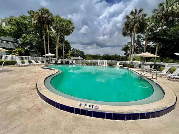 $1,350 | 1217 McMullen Booth Road, Clearwater, FL 33759