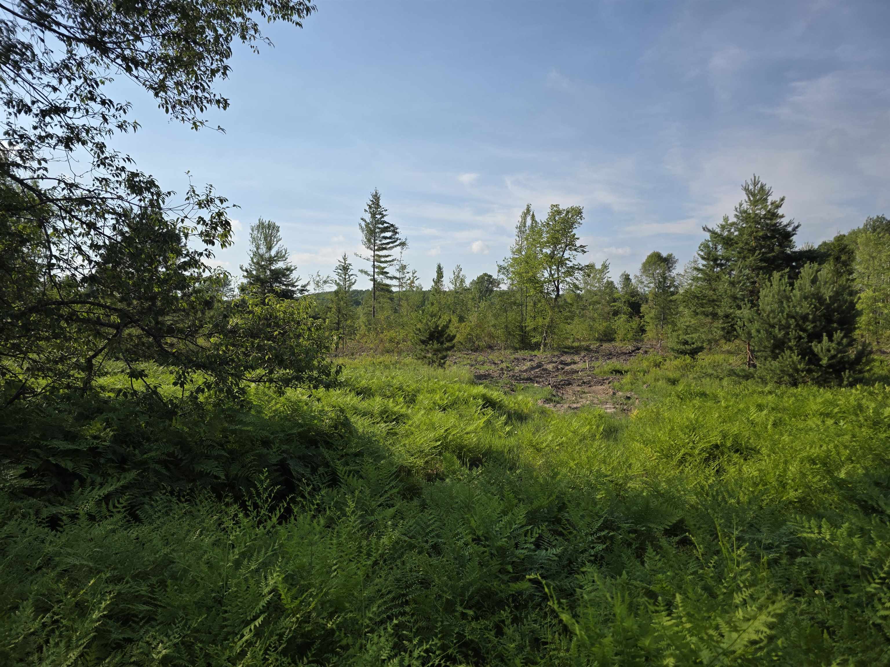 0 Arnold Road Manton, MI 49663 - Photo 21 of 63