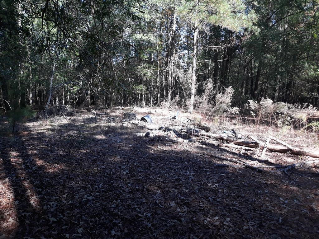 5 Cricket Tree Road Salley, SC 29137 - Photo 4 of 8