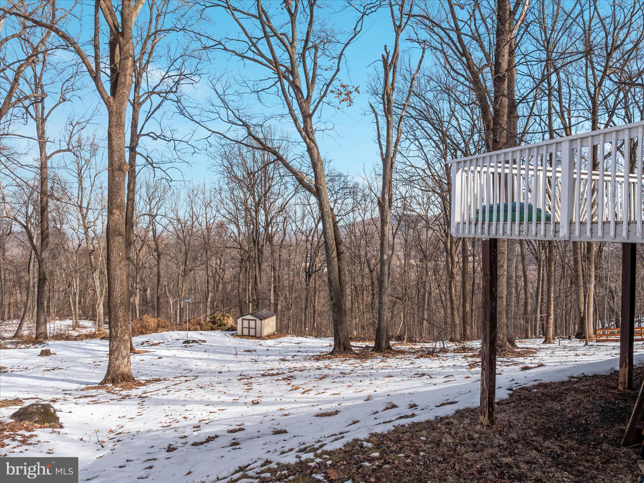 67 Pocahontas Road Front Royal, VA 22630 - Photo 42 of 49 a view of a covered with snow in the background