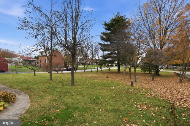 a tree in the middle of a yard
