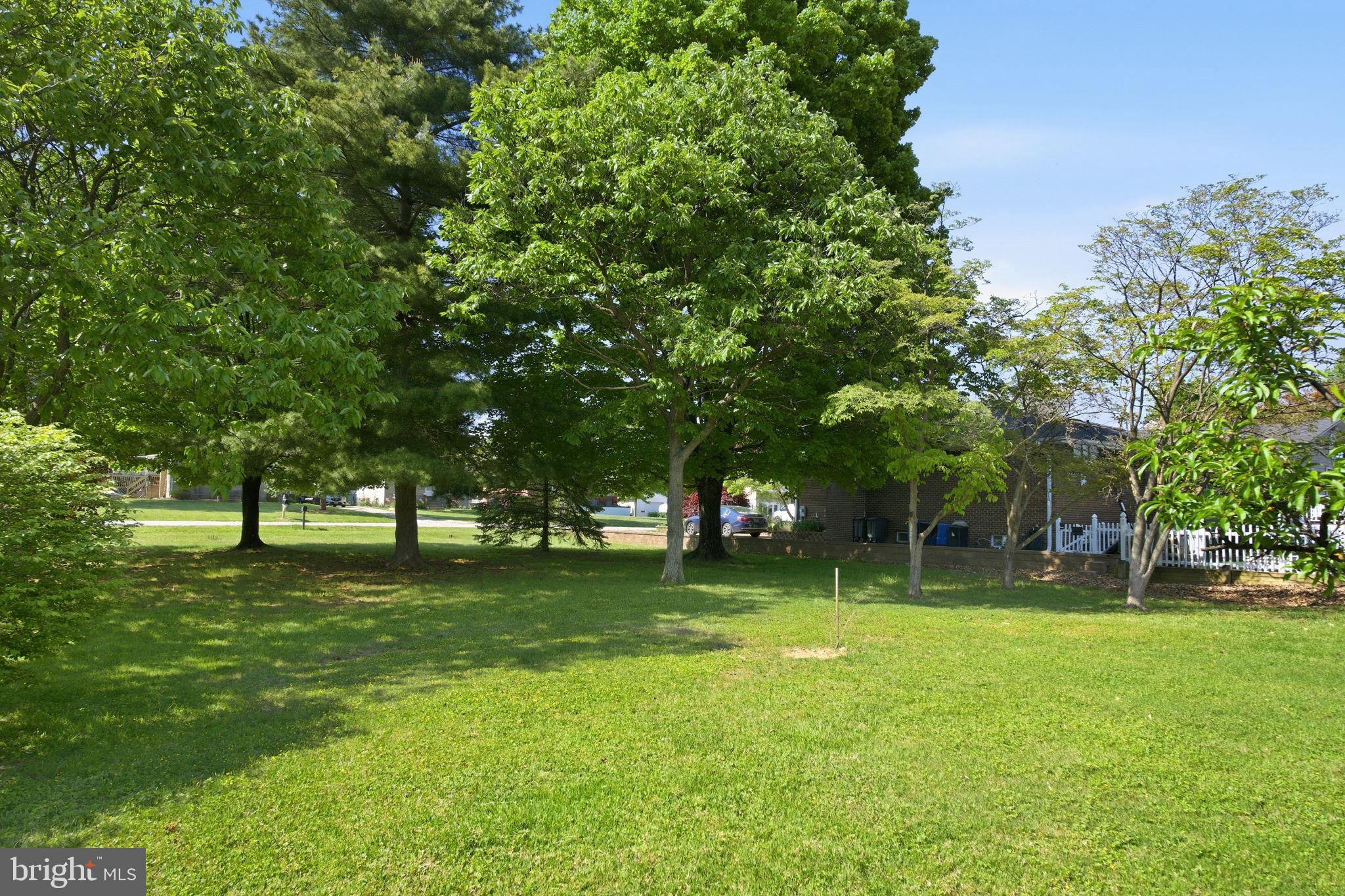 2301 Bayside Drive Baltimore, MD 21221 - Photo 35 of 35 a tall tree in middle of green field
