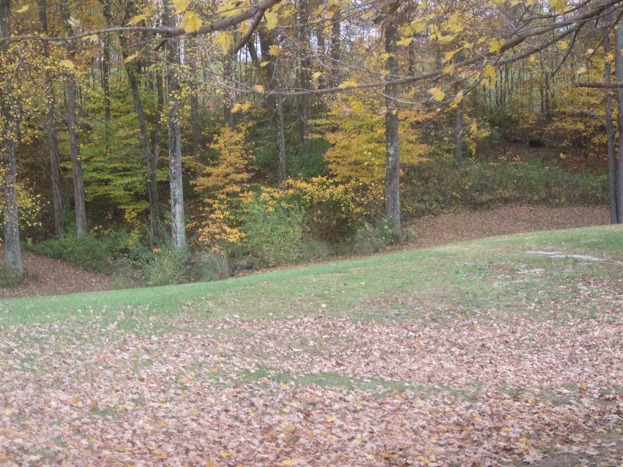4128 Gilmore Road Spencer, IN 47460 - Photo 12 of 29