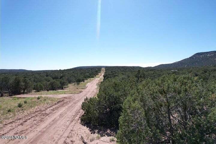 33848 West El Caballo Road Seligman, AZ 86337 - Photo 3 of 12 20230630230547465289000000-o