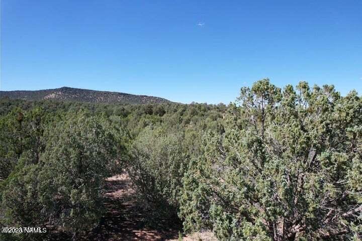 33848 West El Caballo Road Seligman, AZ 86337 - Photo 4 of 12 20230630230551832366000000-o