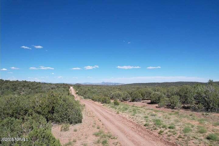 33848 West El Caballo Road Seligman, AZ 86337 - Photo 5 of 12 20230630230556077624000000-o