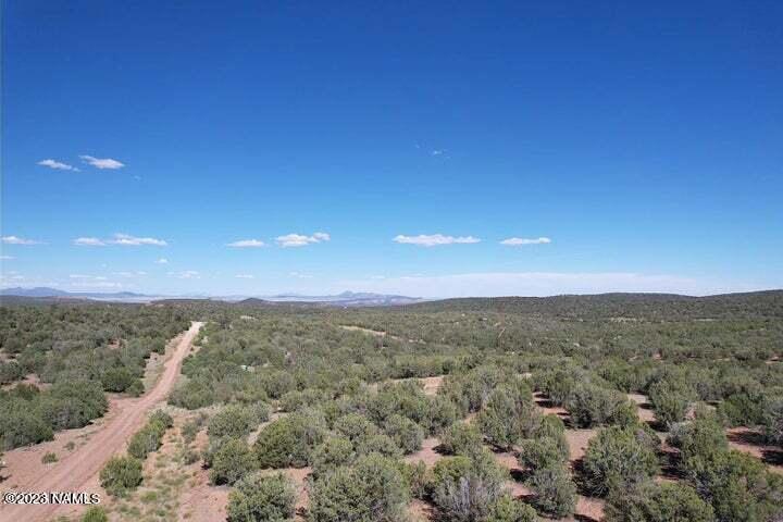 33848 West El Caballo Road Seligman, AZ 86337 - Photo 6 of 12 20230630230605658505000000-o