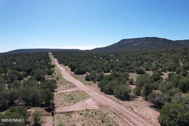 33848 West El Caballo Road Seligman, AZ 86337 - Photo 8 of 12 20230630230629927937000000-o