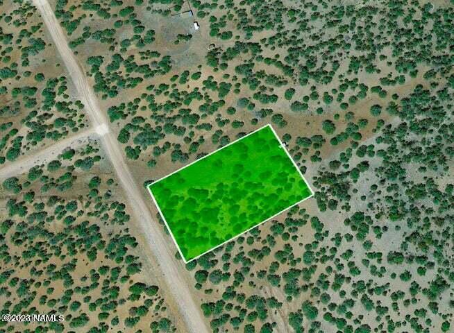 33848 West El Caballo Road Seligman, AZ 86337 - Photo 10 of 12 20230615053935313211000000-o