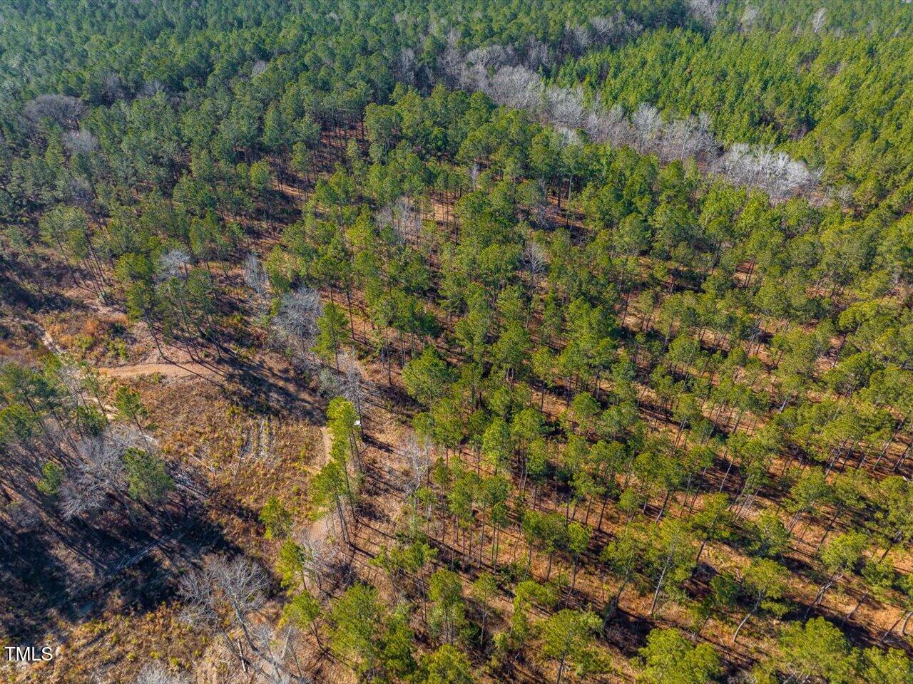 2 Robedo Rd Mount Mount Gilead, NC 27306 - Photo 12 of 28 13-013-Tract2-RobedoRd-MontgomeryCounty-