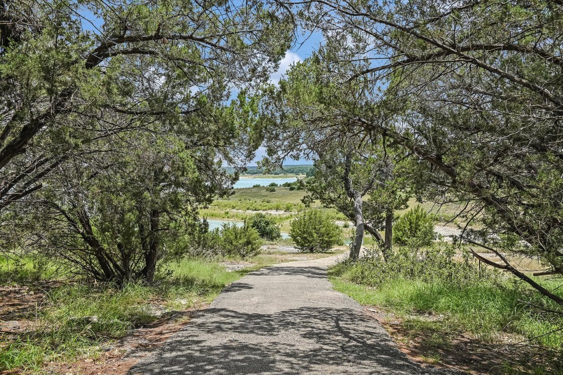 524 Highland Spring Lane Georgetown, TX 78633 - Photo 33 of 39 a view of a yard with plants and trees