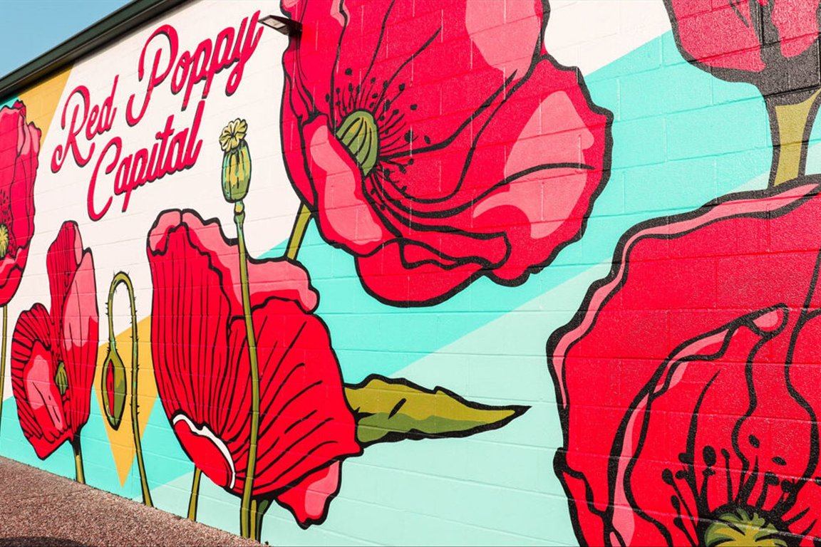 524 Highland Spring Lane Georgetown, TX 78633 - Photo 38 of 39