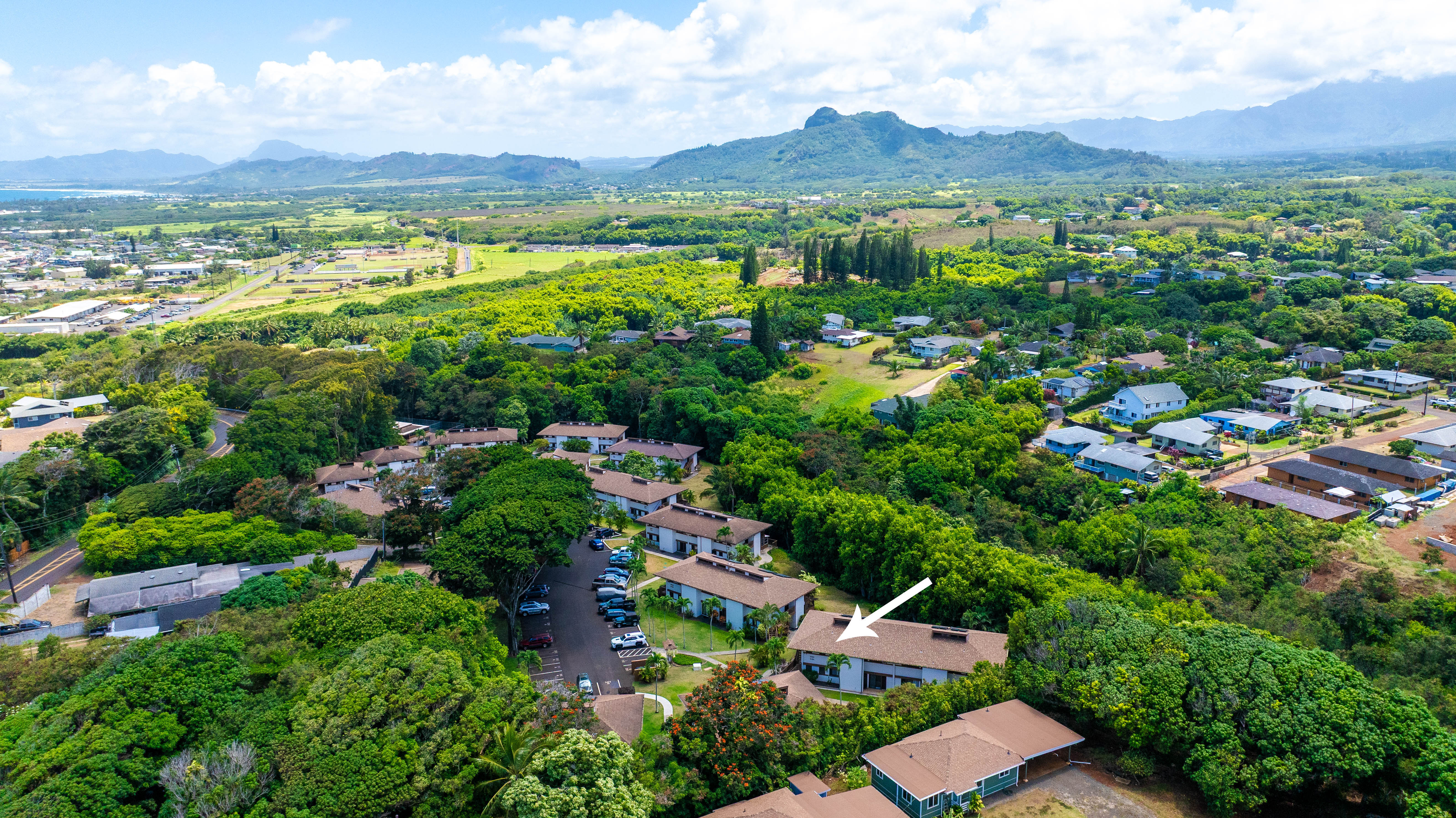 4701 Kawaihau Road, Unit L201 Kapaa, HI 96746 - Photo 26 of 29 an aerial view of residential houses with outdoor space and trees