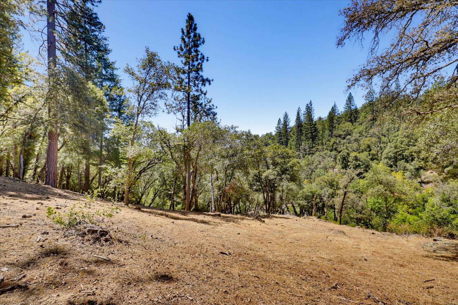 16300 Kiwi Road Grass Valley, CA 95949 - Photo 51 of 88 Gallery Image 51
