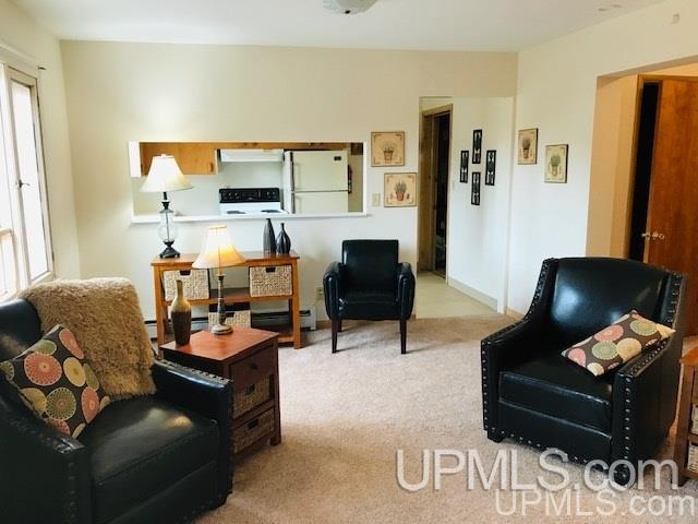 116 East Division Street Ishpeming, MI 49849 - Photo 8 of 24 Gallery Image 8