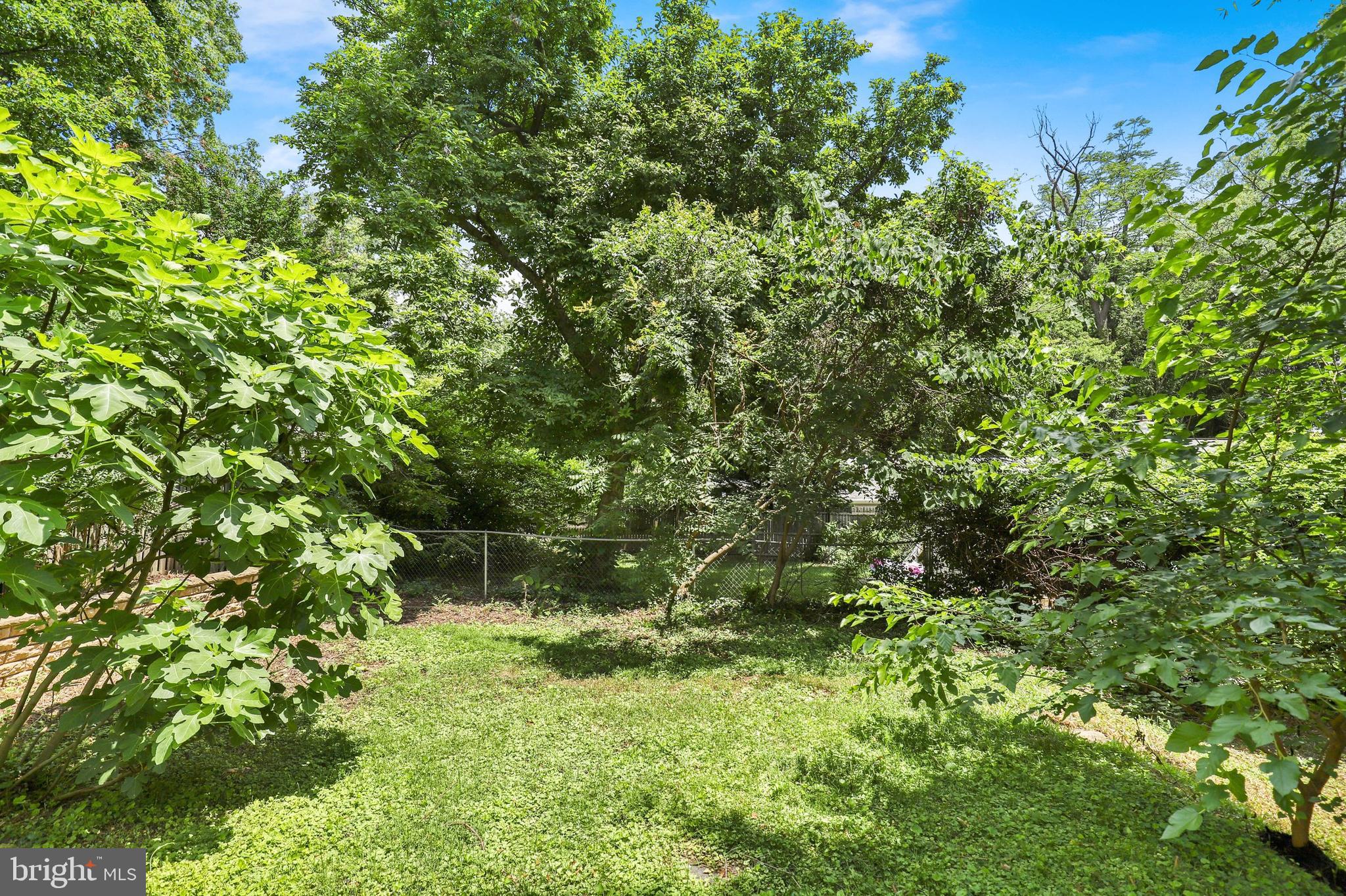 615 Wayne Avenue Silver Spring, MD 20910 - Photo 40 of 41 Gallery Image 40